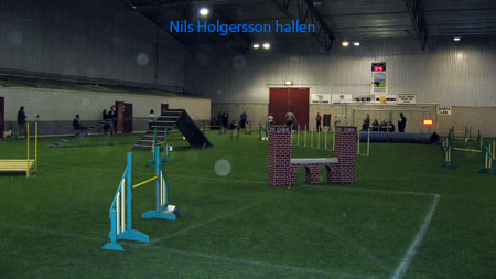 nils-holgersson-hallen