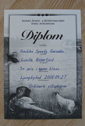 diplom-2.jpg